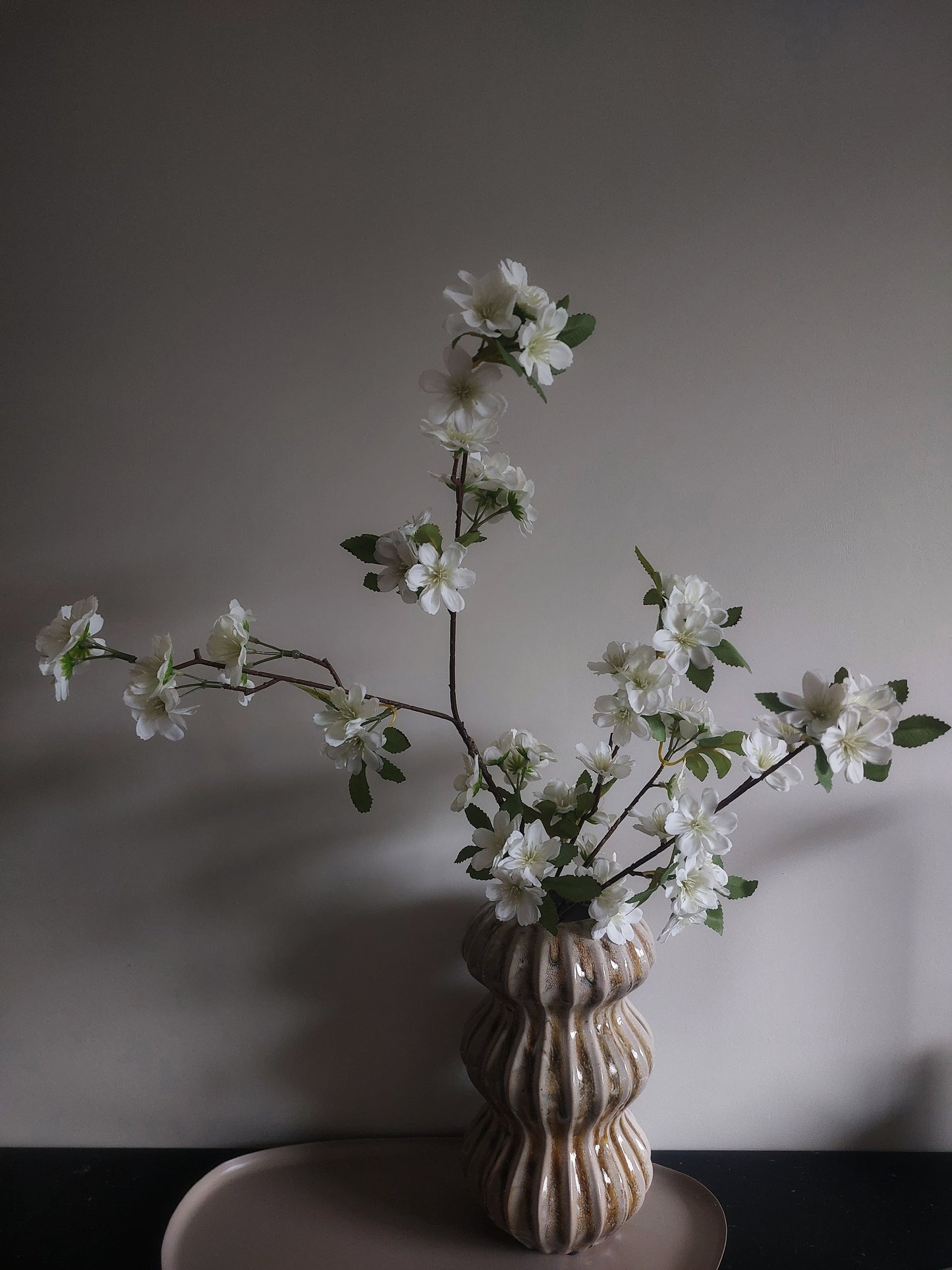 Cherry Blossom