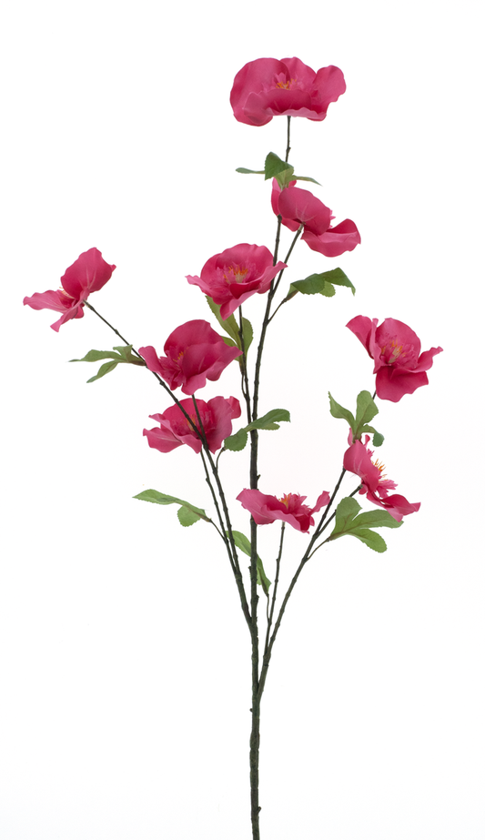 Wild Camellia - Roze