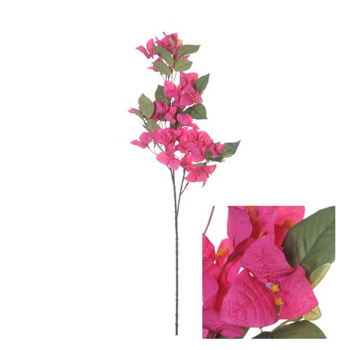 Bougainvillea - Roze